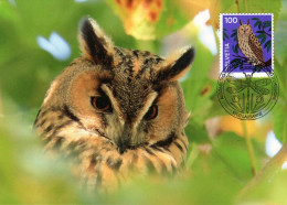 Maximumkarte 2024 - Tiersymbolik Eule -Waldohreule - Maximum Cards