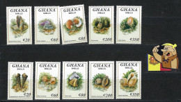 GHANA 1992 SHELLS 10V. 1992 NEUFS - Ghana (1957-...)