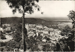 Delcampe - CPM RAMATUELLE Vue D'Ensemble - La Plaine Et La Mer (1114311) - Ramatuelle