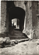 Delcampe - CPM RAMATUELLE Rue Rompi Cuou (1114612) - Ramatuelle