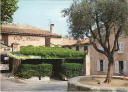 Delcampe - CPM RAMATUELLE Le Cafe De L'Ormeau (1116312) - Ramatuelle