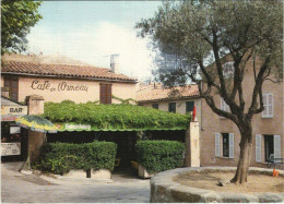 Delcampe - CPM RAMATUELLE Le Cafe De L'Ormeau (1113994) - Ramatuelle