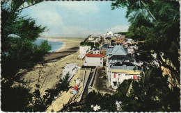 Delcampe - CPA AULT Trouée Dans Le Feuillage Et Les Fleurs (807395) - Ault