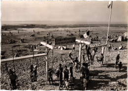 Delcampe - CPM Villerville Le Club D'Enfants Et La Plage FRANCE (1336023) - Villerville