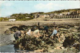 Delcampe - CPA VILLERVILLE Plaisirs De Peche Et Vue D'Ensemble De La Plage (1227008) - Villerville