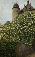 CPA Andernach Aus Burg Namedy Am Rhein GERMANY (895532) - Andernach