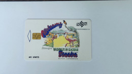 ANTILLES-(NETERLANDS)-(AN-BON-TBO-0009A)-Slagbaai National Park-(35)(60unis)(072301)-(1/00)-good Card - Antillas (Nerlandesas)