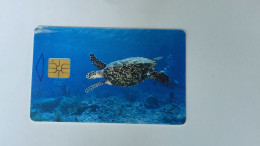 ANTILLES-(NETERLANDS)-(AN-BON-TBO-0008A)-Sea Turtle (Black Chip)-(37)(60unis)(00057773)-(1/99)-good Card - Antillas (Nerlandesas)