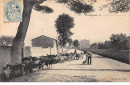 FRONTIGNAN - Route De Montpellier - Très Bon état - Frontignan