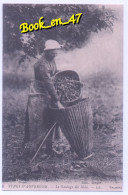 {99569} Types D'Auvergne, Le Gaulage Des Noix , Reproduction ; Animée - Altri & Non Classificati