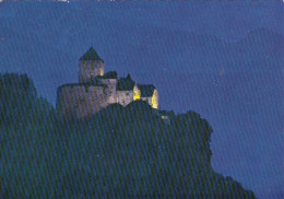 Liechtenstein, Schloß Vaduz Bei Nacht Ngl #F9397 - Liechtenstein