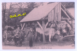 {99584} En Morvan, Bœufs Au Ferrage , Reproduction ; Animée - Altri & Non Classificati