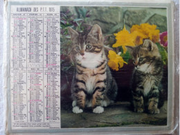 Calendrier Oberthur 1975, Chatons Et Cheval  (265 X 210 Mm) - Big : 1971-80