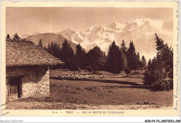 AEWP4-74-0276 - PASSY - Sur La Route De Plaine -joux - Passy