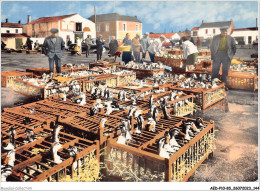 AEDP10-85-0826 - CHALLANS - Le Marché Aux Canards - Challans