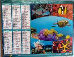 Calendrier Oberthur  2015 - Poissons Exotiques -  (272 X 210 Mm) - Groot Formaat: 2001-...