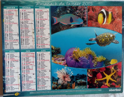 Calendrier Oberthur  2015 - Poissons Exotiques -  (272 X 210 Mm) - Groot Formaat: 2001-...