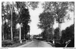 ANWP4-0359-80 - AILLY-SUR-NOYE - Entrée Du Pays - Ailly Sur Noye