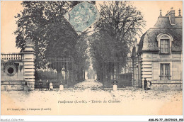 ADRP9-77-0852 - POMPONNE - Entrée Du Château - Torcy