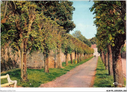 ALWP9-0814-77 - ROZAY-EN-BRIE - Le Boulevard Gambetta - Rozay En Brie