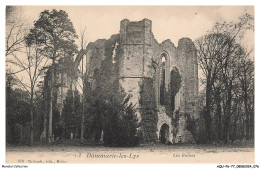 AQUP6-0395-77 - DAMMARIES-LES-LYS - Les Ruines - Dammarie Les Lys