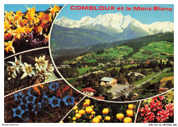 APNP10-0774-74 - COMBLOUX Et Le Mont Blanc - Combloux