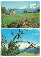 APNP10-0771-74 - COMBLOUX - Haute-savoie - Souvenir - Combloux