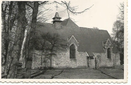 Soignies - Soignies