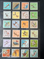 (Tv) Macau Angola Cabo Verde Guine India Timor Mozambique - 1962 Sports Omnibus Set - MNH - Angola