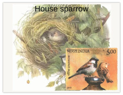 India 2025 Pegion & Sparrow MINT/BLANK PPC Maxim/Picture Post Card As Per Scan - Moineaux
