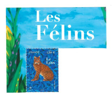 Lynx, France 2025 - Félins