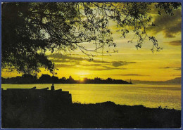 Timor - Põr Do Sol Em Dili - Timor Orientale