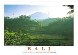 CPM - INDONESIE - BALI - BEAUTIFUL RICEFIELD WITH MOUNT AGUNG INTHE BACK - KARANGASEM - Indonesia