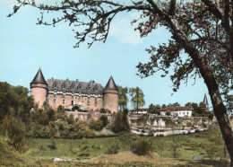 DER	87	8	Rochechouart	Vue Panoramique Sur Le Château		Non Circulée - Rochechouart