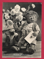 AD154 MECKI HERLICHE GLUCKWUNSCHE VON DIEHL    FIGURINE STEIFF  HOR ZU  AGFA - Mecki