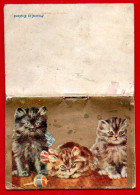 Petit Calendrier Almanach Pour 1951, En Anglais. Couverture : 3 Chatons. - Formato Piccolo : 1941-60