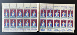 France 1930 Antituberculeux Tuberculose Tuberculosis Tuberkulose 20 Timbres Strasbourg Hopices Magmod Istra Soieries - Ziekte
