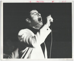 C1126/ Brendon Boyer  The Royal Irish Showband  Foto 25,5 X 20,5 Cm 1969 - Autres & Non Classés