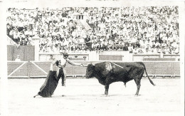 CORRIDA DE TOROS/ CARTE PHOTO/ PASSE DE DOMINGO ORTEGA - Corrida
