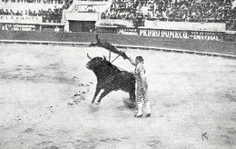 CORRIDA DE TOROS/ CARTE PHOTO/ - BILBAO - PASSE DE CUCHERITO - Corrida