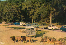 CPM - M - YVELINES - CHATEAU DE THOIRY - LIONS EN LIBERTE DANS LA RESERVE AFRICAINE - DS - 4L - 2CV - Thoiry