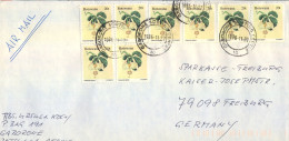 1996 BOTSWANA , GABORONE  , SOBRE CIRCULADO , CORREO AÉREO , AIR MAIL , POR AVIÓN , WILD FLOWERS - Botswana (1966-...)