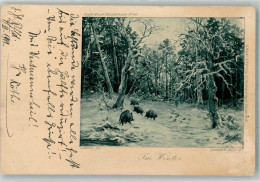 39994864 - Sign. Muehlig A. Im Winter G. Heuer U. Kirmse Hofkunstverlag - Varkens