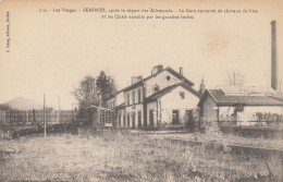 SENONES (Vosges): La Gare Entourée De Chevaux De Frise Et Les Quais - Guerre 14-18 - Senones