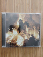Birds In The Storm - Other & Unclassified