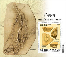 Guinea Bissau 2023 History Of Earth, Fossils, BF - Guinée-Bissau