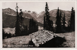 Am Weg Zum Eggishorn Oberhalb Fiesch  1946 - Fiesch