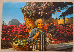 Ticino Tessin  Vendatrice Di Fiori ,vendeuse De Fleurs - Venters