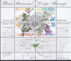 SLOWENIEN  Block 1, Gestempelt, Einheimische Flora, 1994 - Slovénie