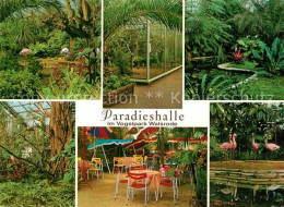 Walsrode Lueneburger Heide Paradieshalle Im Vogelpark - Walsrode
